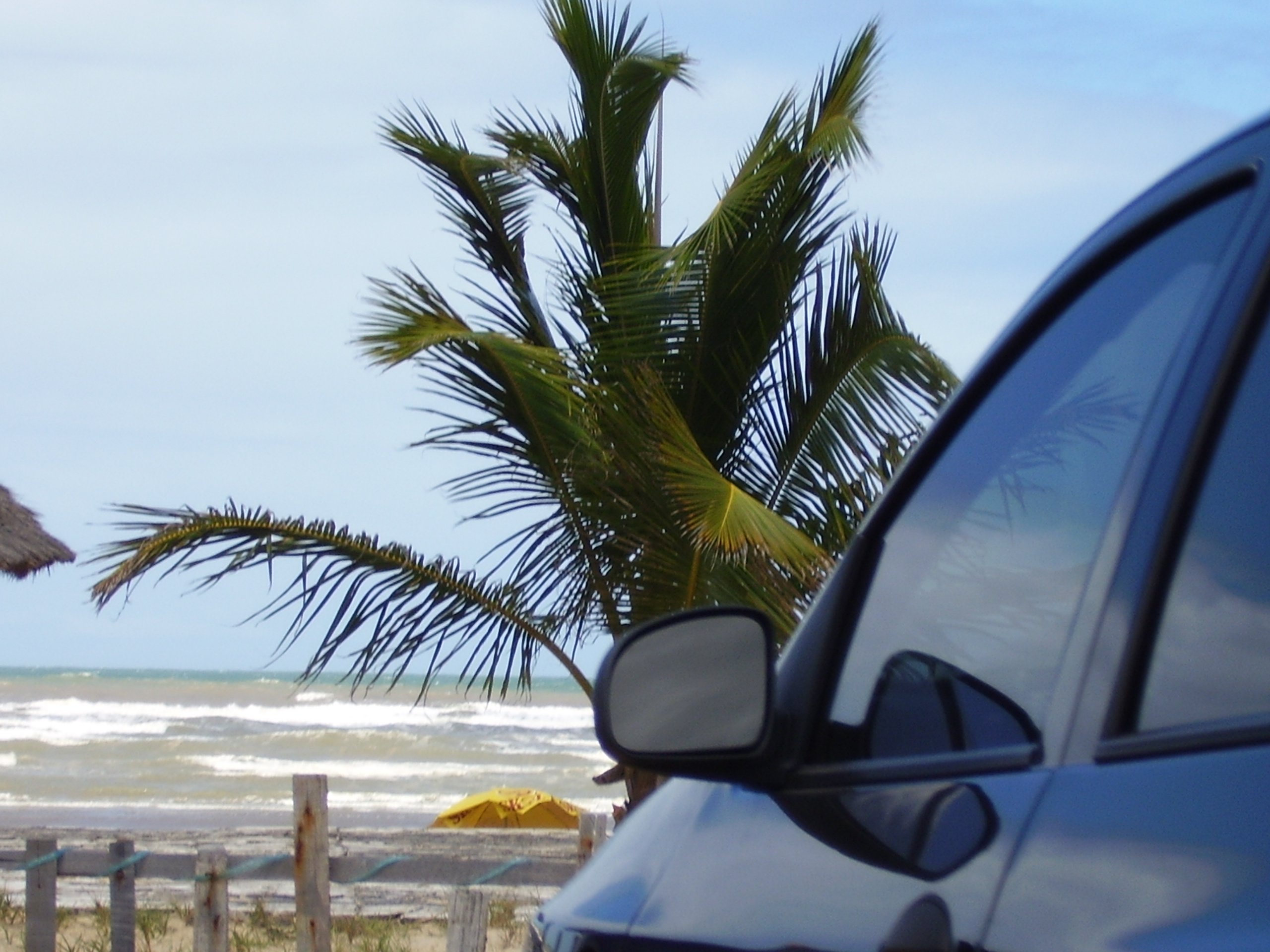 Consulta placa de carro em Sergipe: erro que sai caro